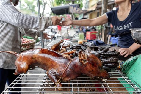 延邊狗肉怎麼做？探究其獨特風味與文化內涵